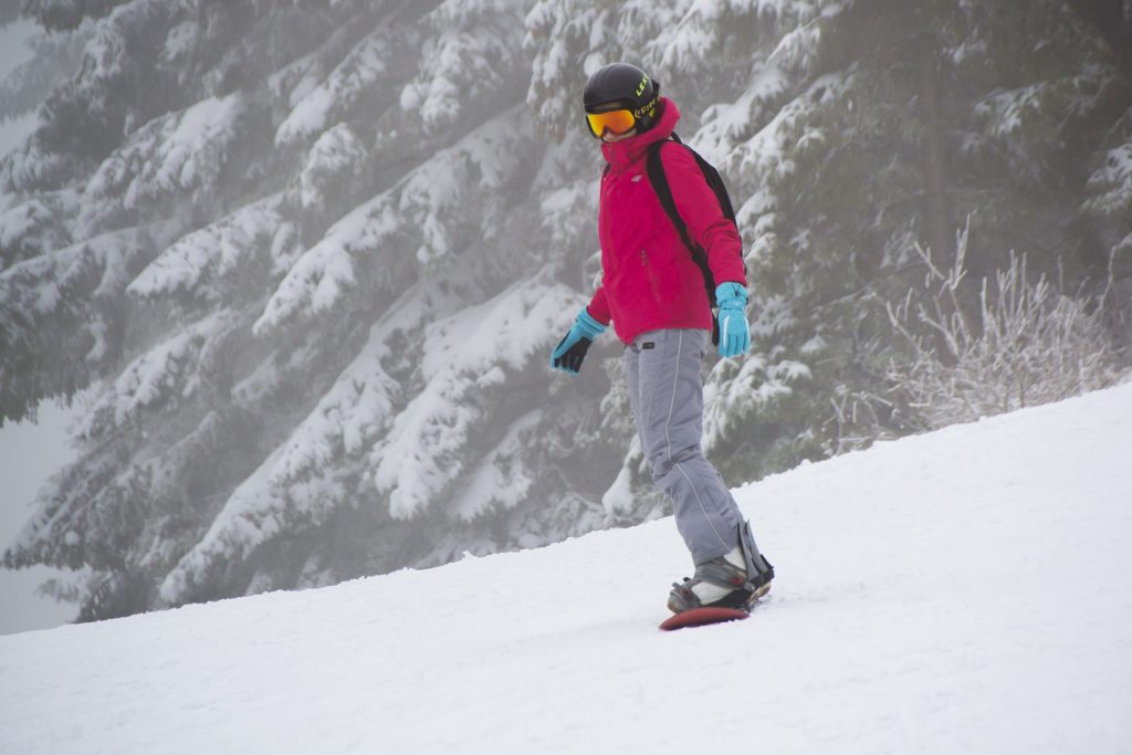 Zakup online ubezpieczenie na snowboard