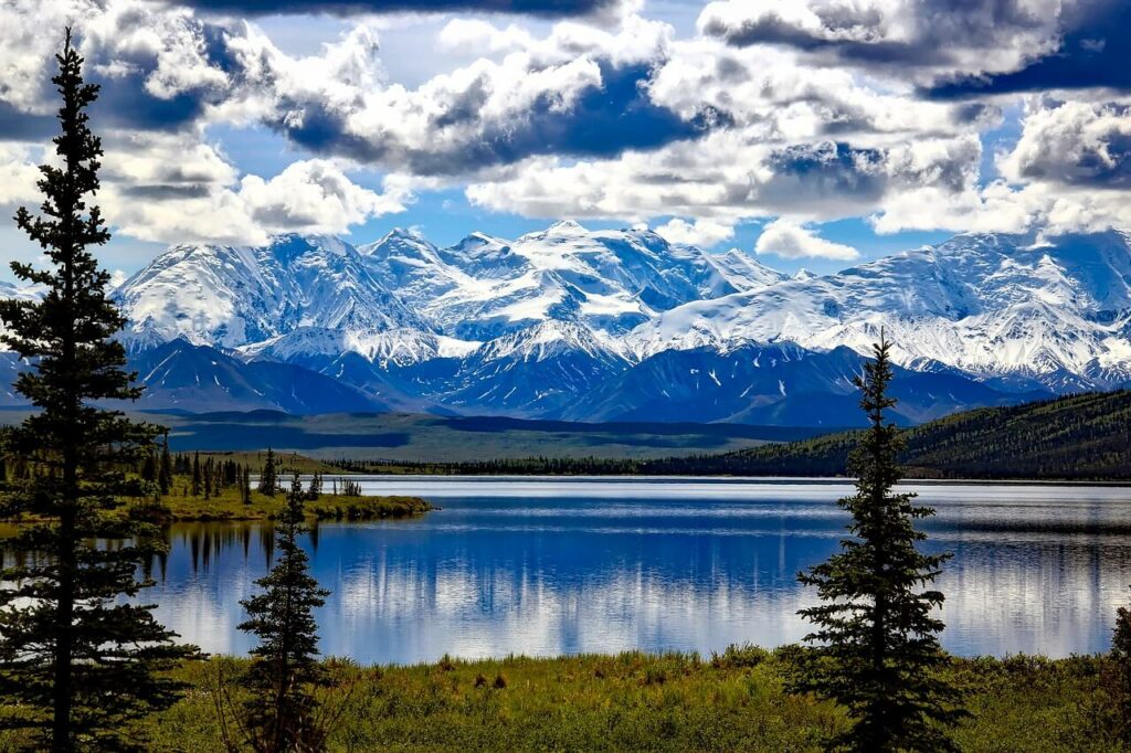 Alaska - Park Narodowy Denali
