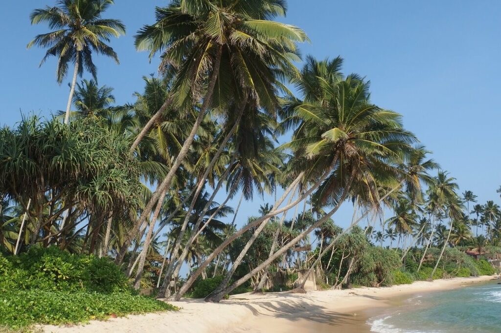 Sri Lanka - plaża