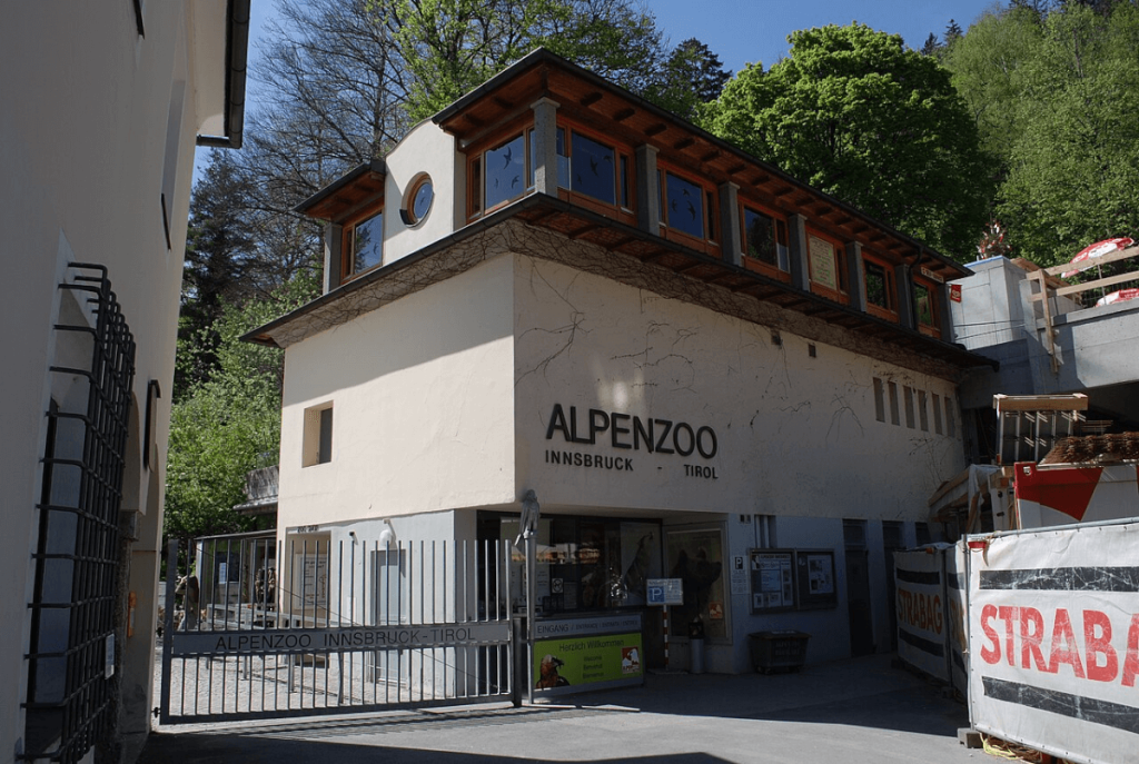 Alpenzoo - atrakcje dla dzieci