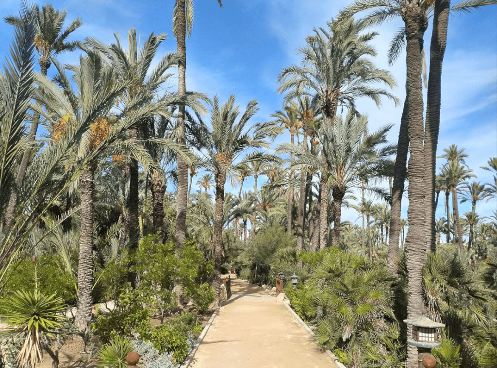 El palmeral Park